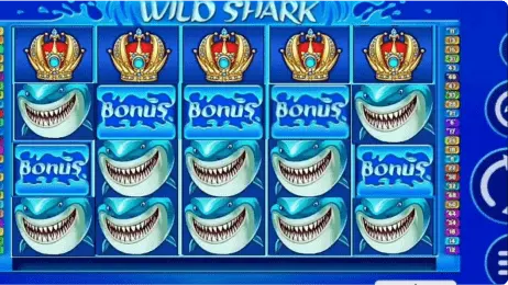 Bonus in the Canadian slot Wild Shark