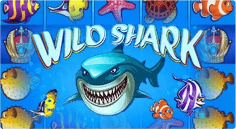 online slot with special features - Wild Shark