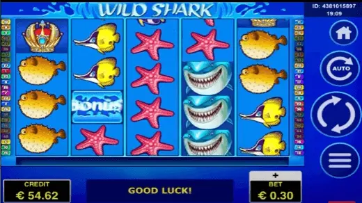 Wild Shark - online slot with bonus spins